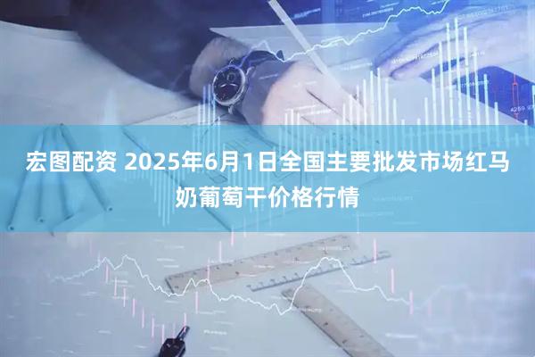 宏图配资 2025年6月1日全国主要批发市场红马奶葡萄干价格行情