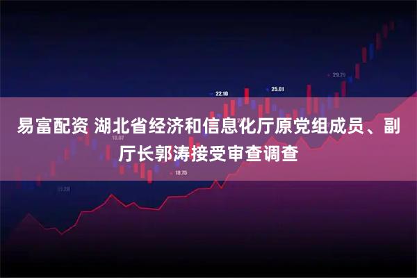 易富配资 湖北省经济和信息化厅原党组成员、副厅长郭涛接受审查调查