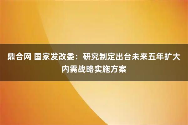 鼎合网 国家发改委：研究制定出台未来五年扩大内需战略实施方案