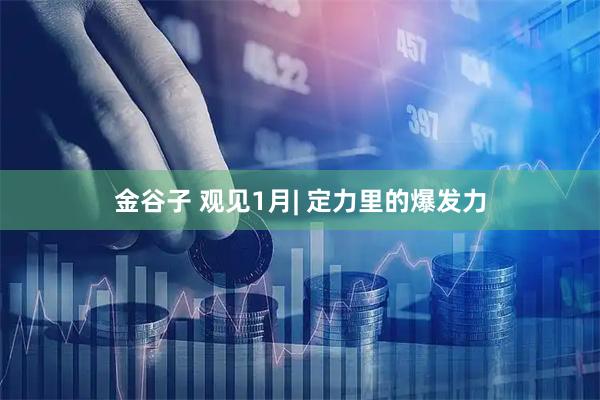 金谷子 观见1月| 定力里的爆发力